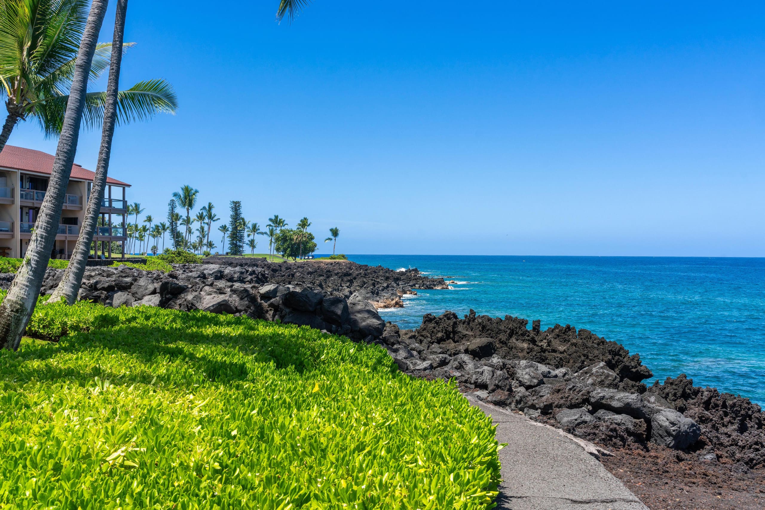 Kona oceanview 2br coastal condo summer deal - Photo 24