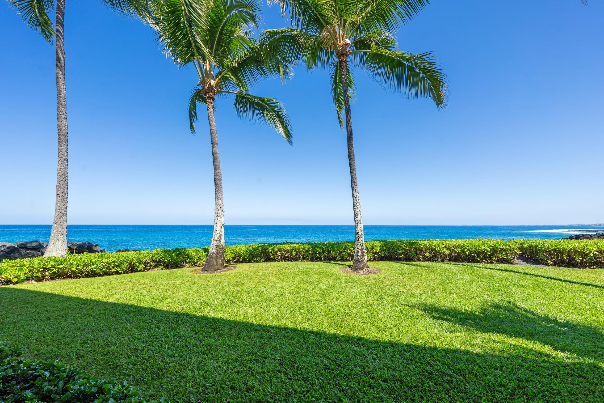Kona oceanview 2br coastal condo summer deal - Photo 25