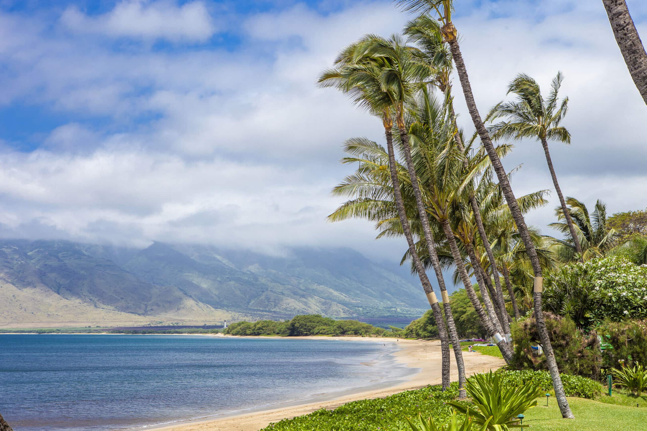 Condo in Kihei · ★4.9 · 1 bedroom · 2 beds · 1 private bath - Image 27