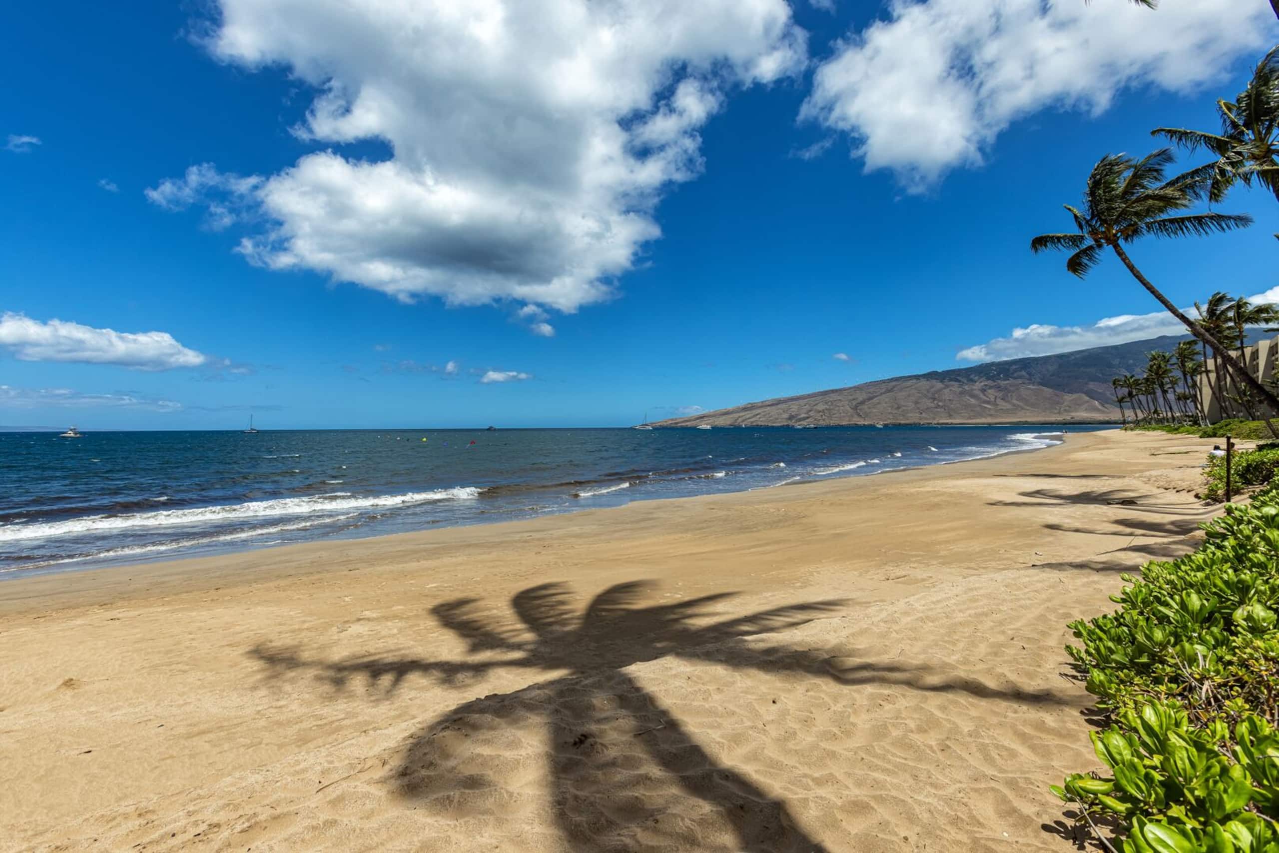Condo in Kihei · ★4.9 · 1 bedroom · 2 beds · 1 private bath - Image 23