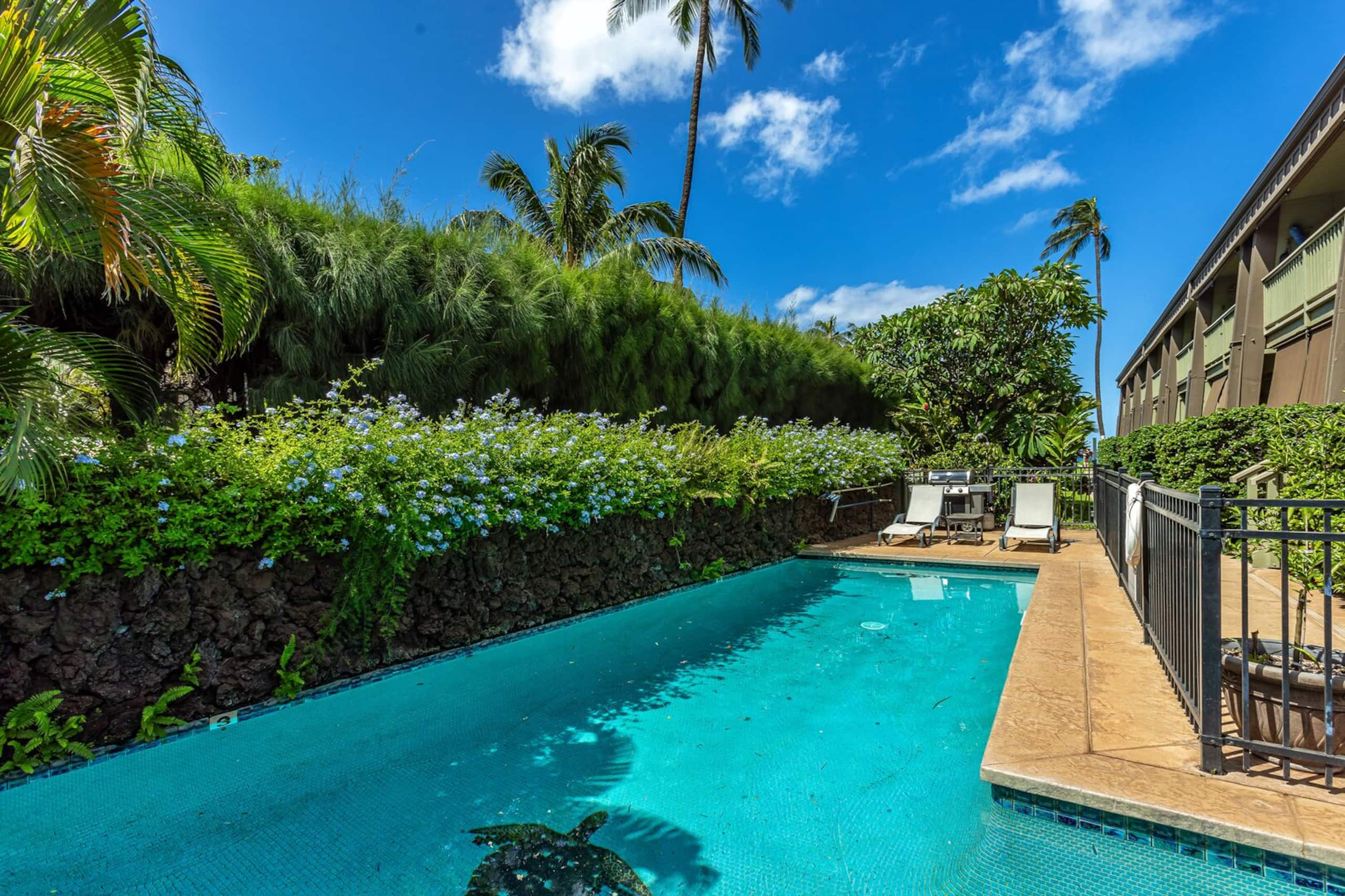 Condo in Kihei · ★4.9 · 1 bedroom · 2 beds · 1 private bath - Image 16