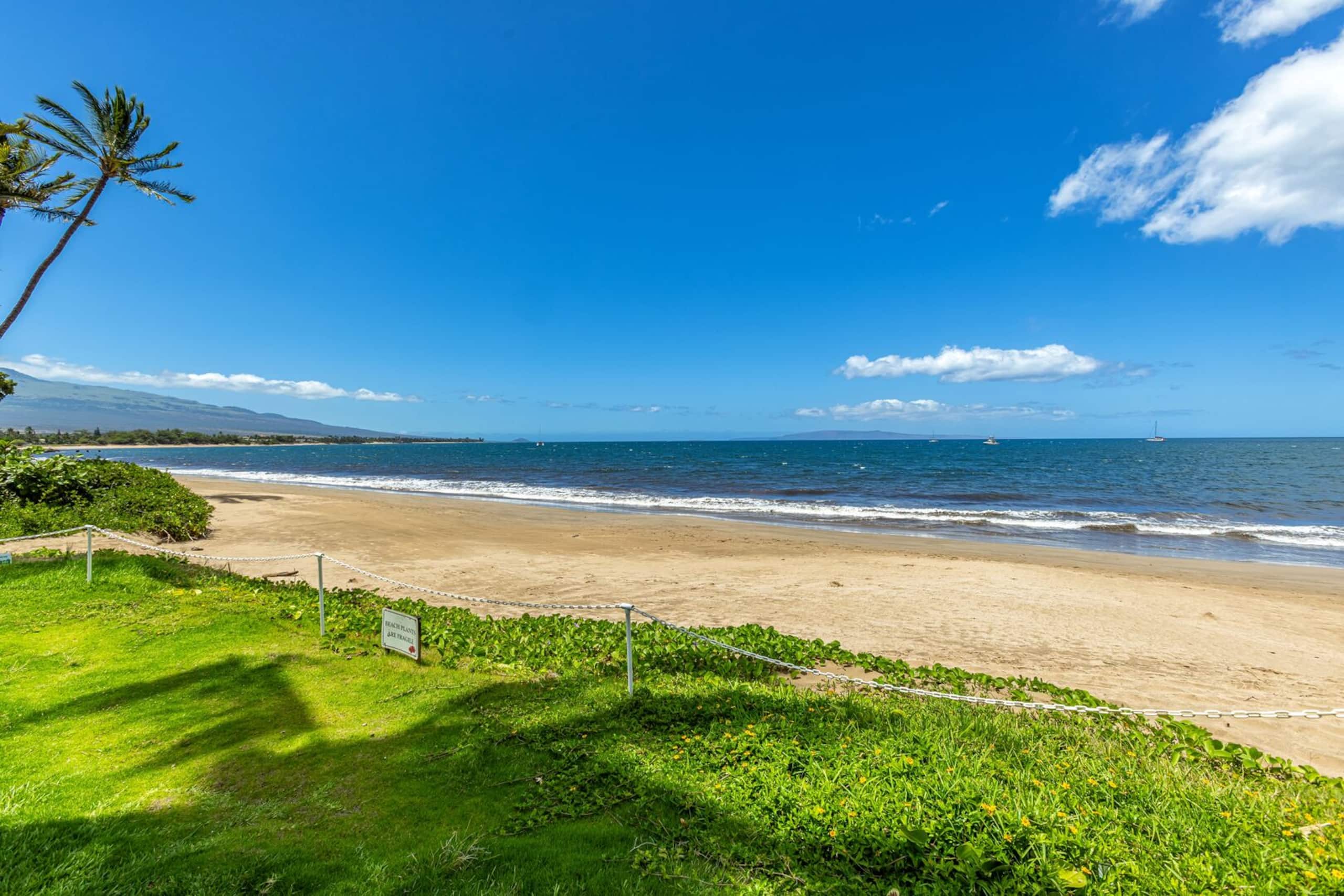 Condo in Kihei · ★4.9 · 1 bedroom · 2 beds · 1 private bath - Image 22