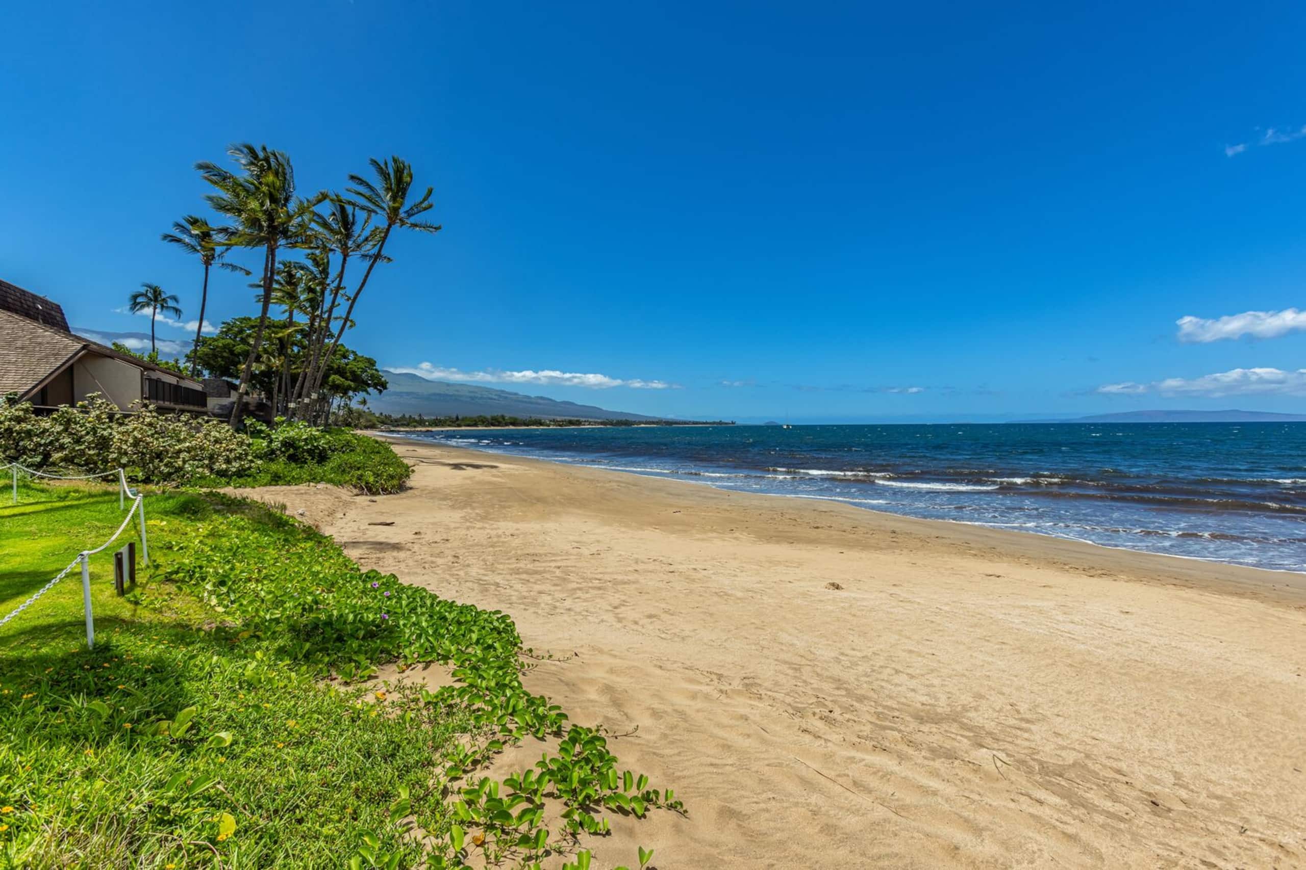 Condo in Kihei · ★4.9 · 1 bedroom · 2 beds · 1 private bath - Image 24