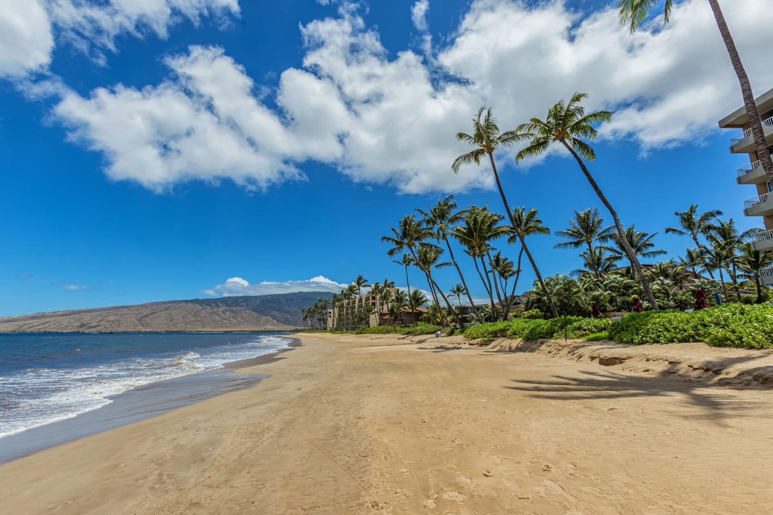 Condo in Kihei · ★4.9 · 1 bedroom · 2 beds · 1 private bath - Image 25