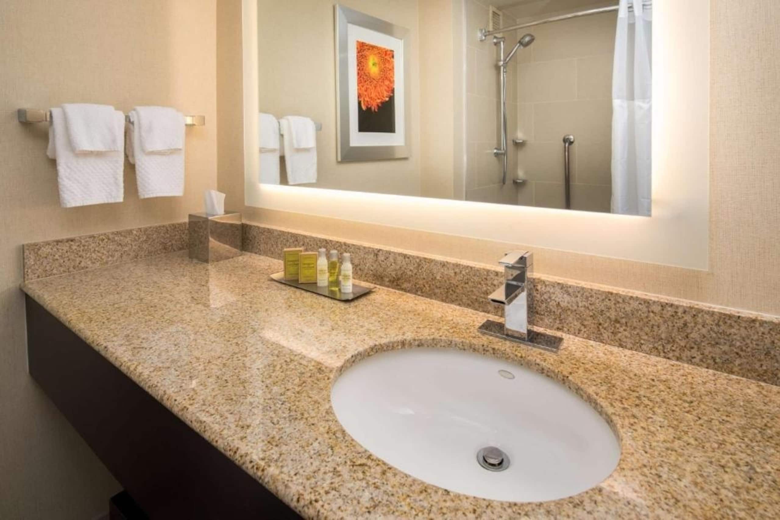 King Room Near Kezar Life Sciences SAN - Photo 7