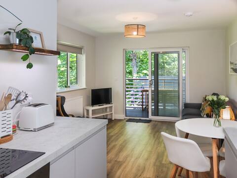 Dinas Lodge - uk47607