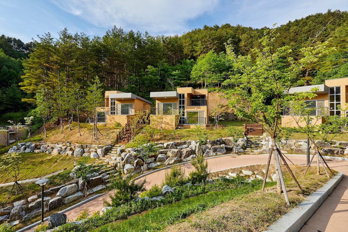 A peaceful eco-friendly retreat is nestled among lush greenery and rocks, featuring multiple cabins with large windows. Walkways meander through landscaped gardens, leading to various outdoor seating areas, creating an inviting environment for relaxation and connection with nature.