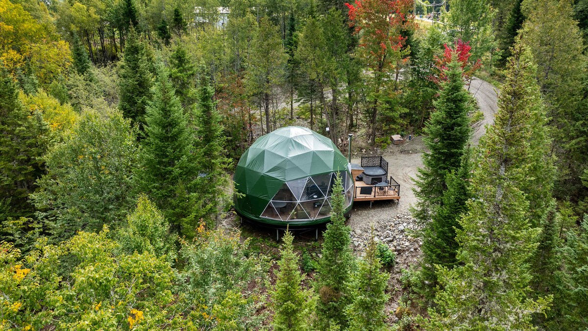 A green dome structure is nestled among tall trees, surrounded by lush foliage. The dome features large windows, providing a glimpse of the inviting living space inside. A deck with seating is visible, offering a cozy outdoor area in the serene natural setting.