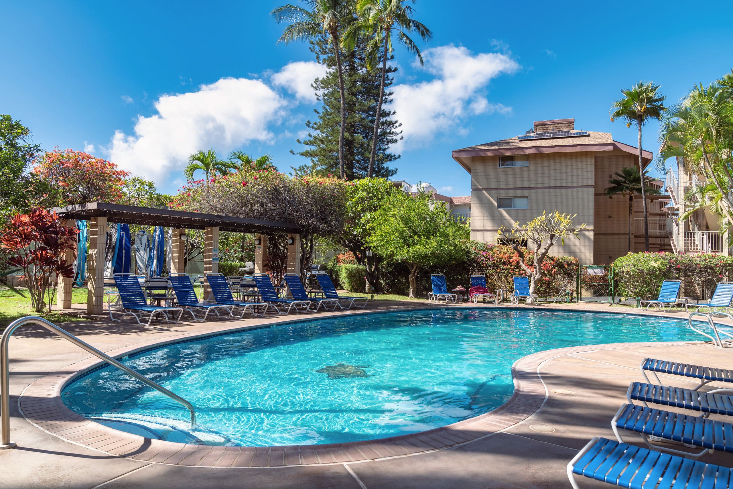 Condo in Kihei · ★4.89 · 2 bedrooms · 4 beds · 2 shared baths - Image 31