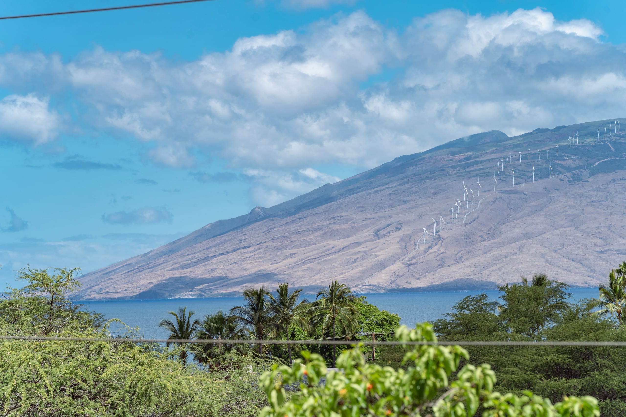 Condo in Kihei · ★4.89 · 2 bedrooms · 4 beds · 2 shared baths - Image 16