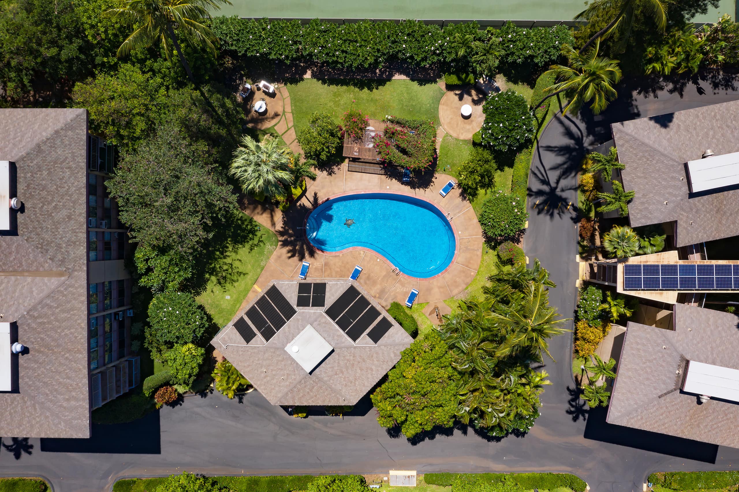 Condo in Kihei · ★4.89 · 2 bedrooms · 4 beds · 2 shared baths - Image 3