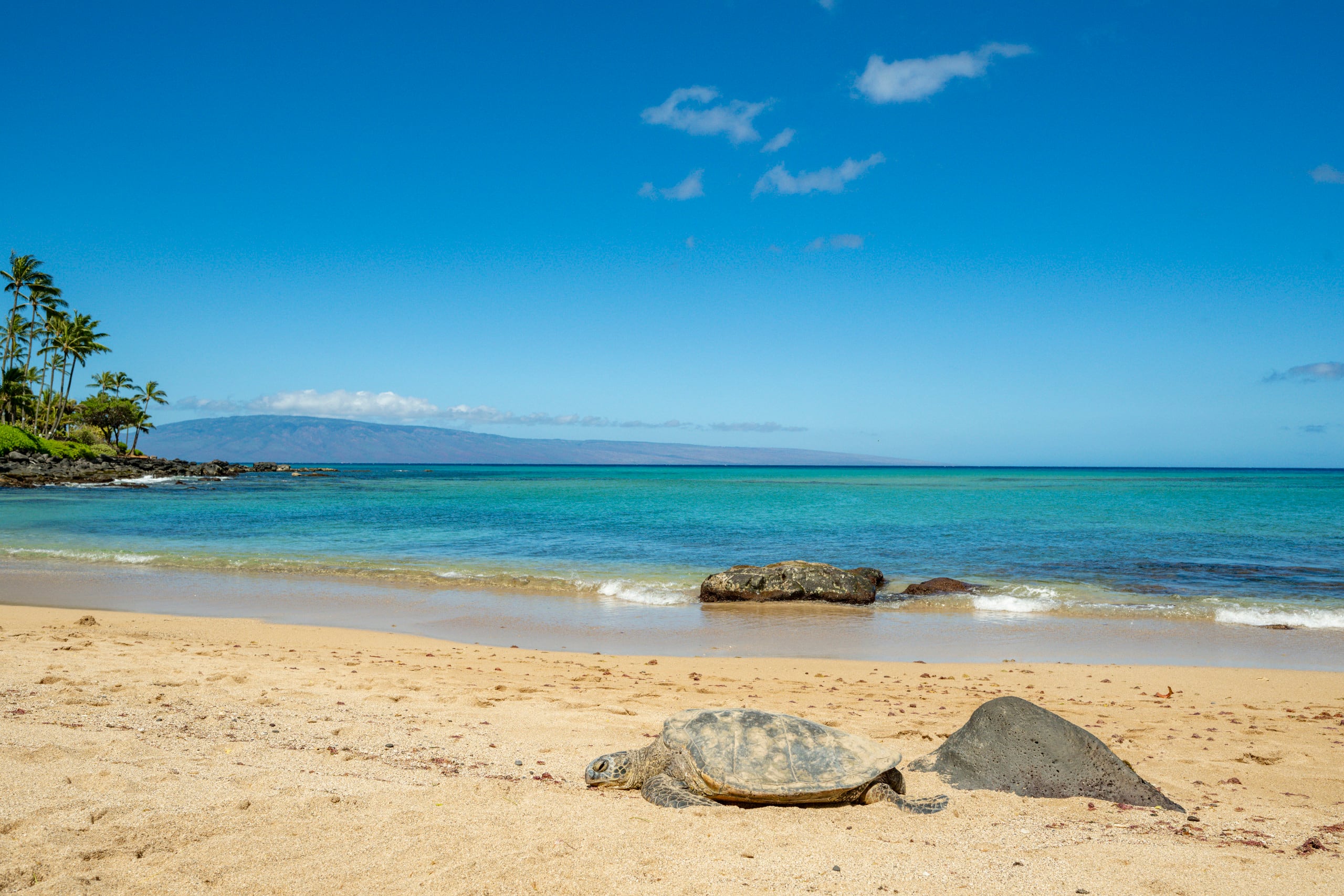 Condo in Lahaina · ★4.93 · 2 bedrooms · 4 beds · 2 shared baths - Image 29