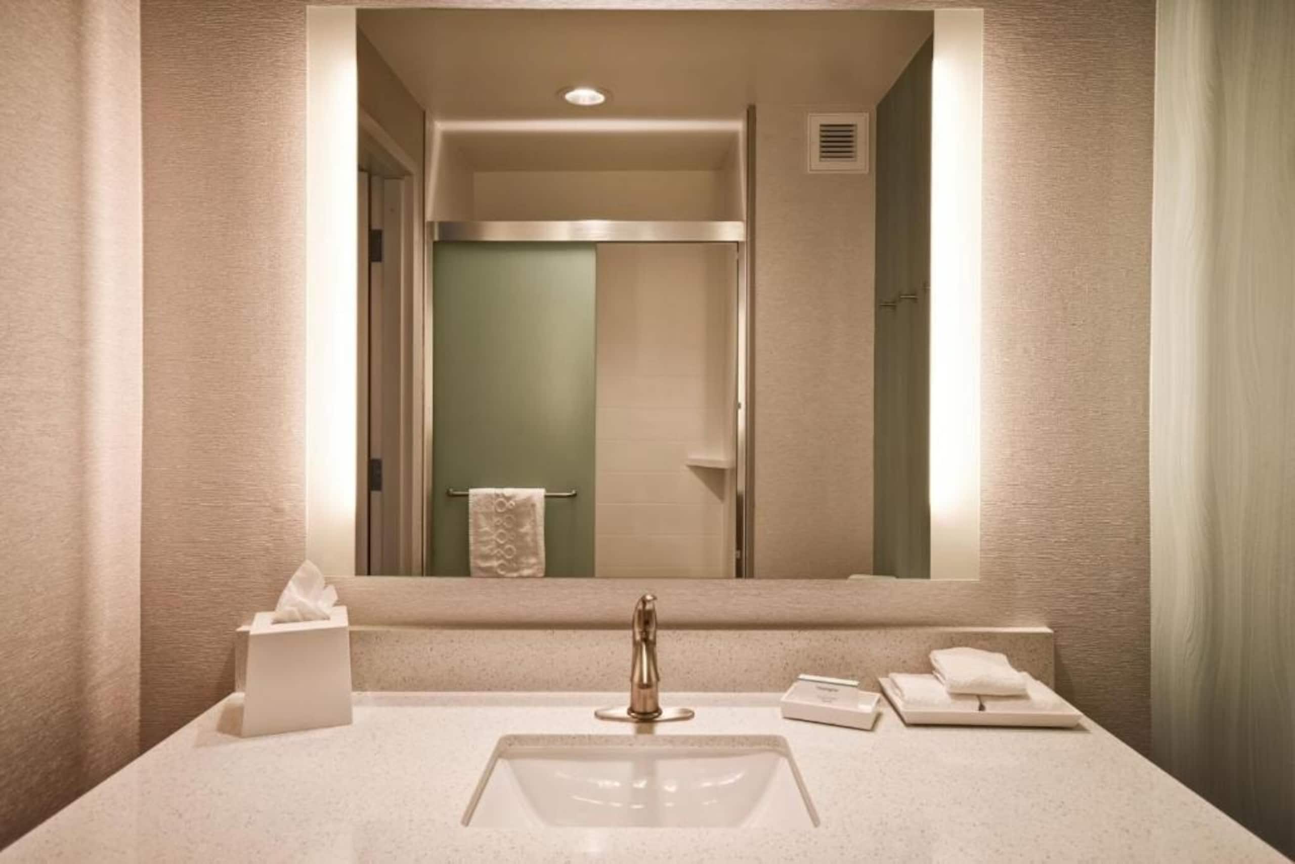 King Studio Suite Near Twist Bioscience SAN - Image 7