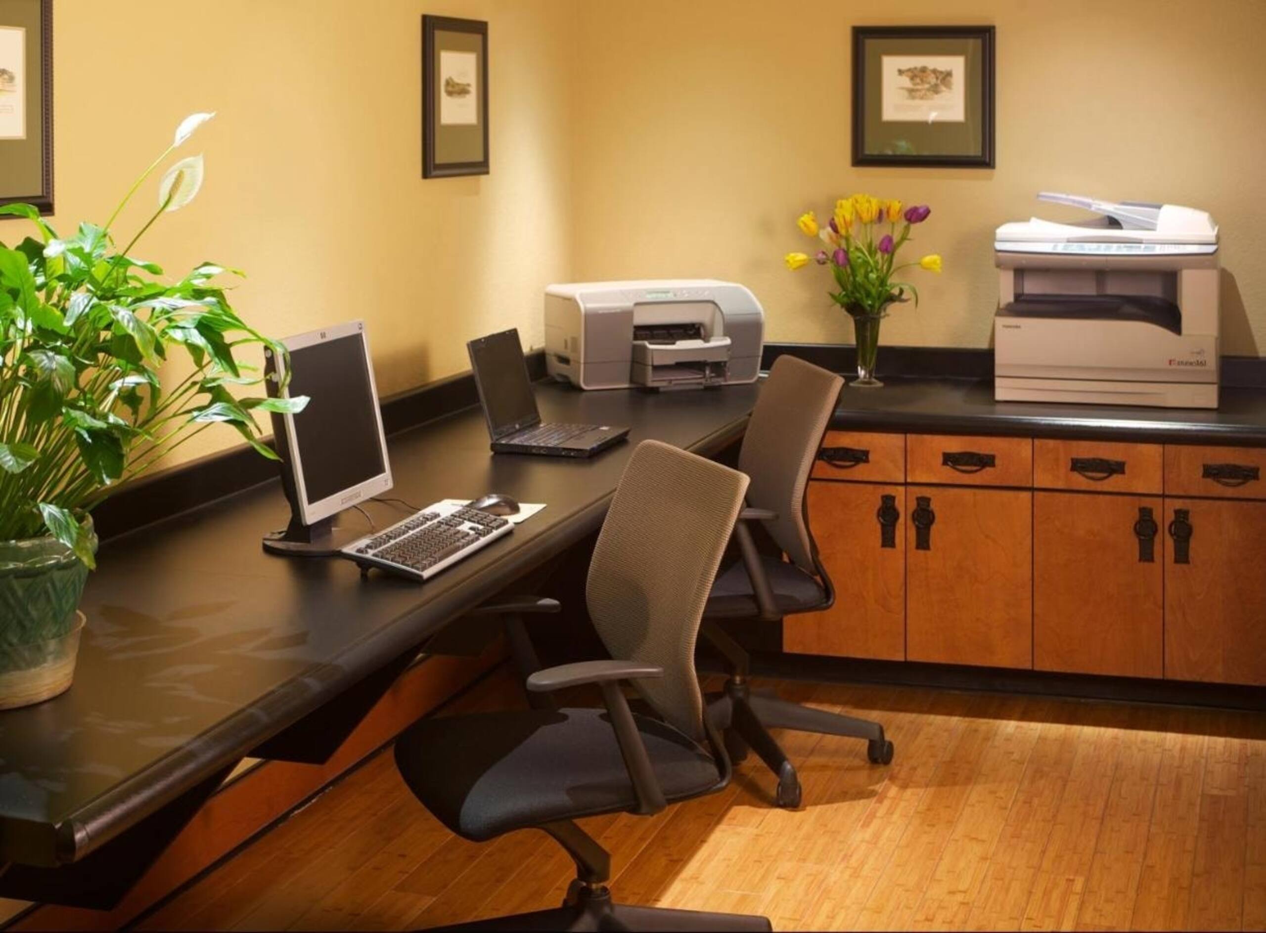 Studio Suite Near Twist Bioscience SAN - Image 13