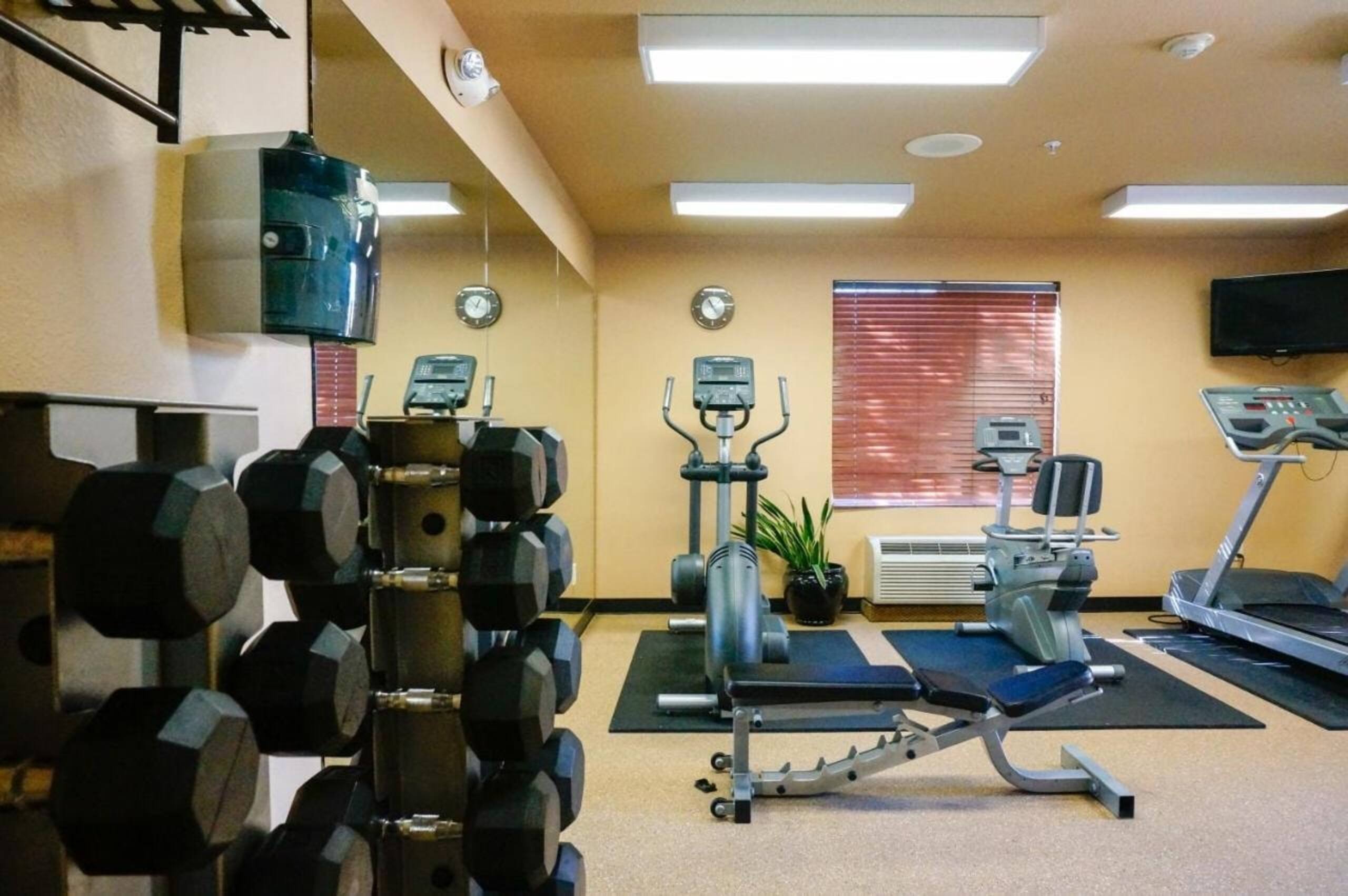 Studio Suite Near Twist Bioscience SAN - Image 12