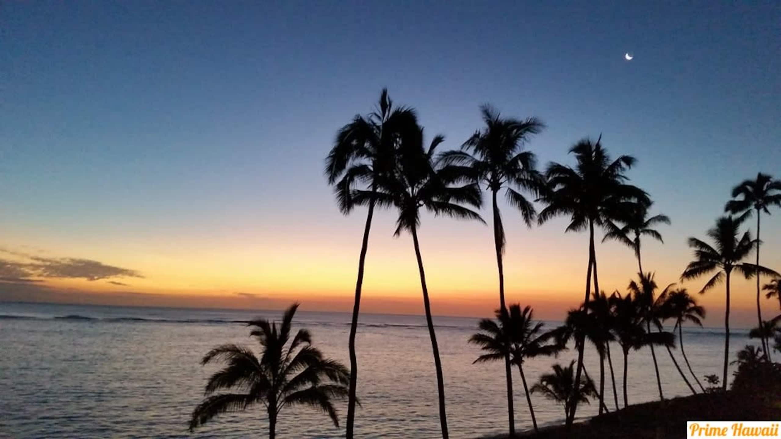 Condo in Hauula · ★4.53 · 1 bedroom · 3 beds · 1 private bath - Image 31