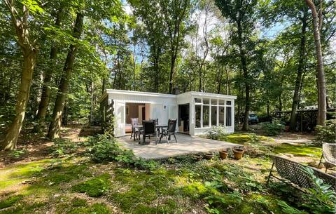 Pet friendly home in Holten with kitchen