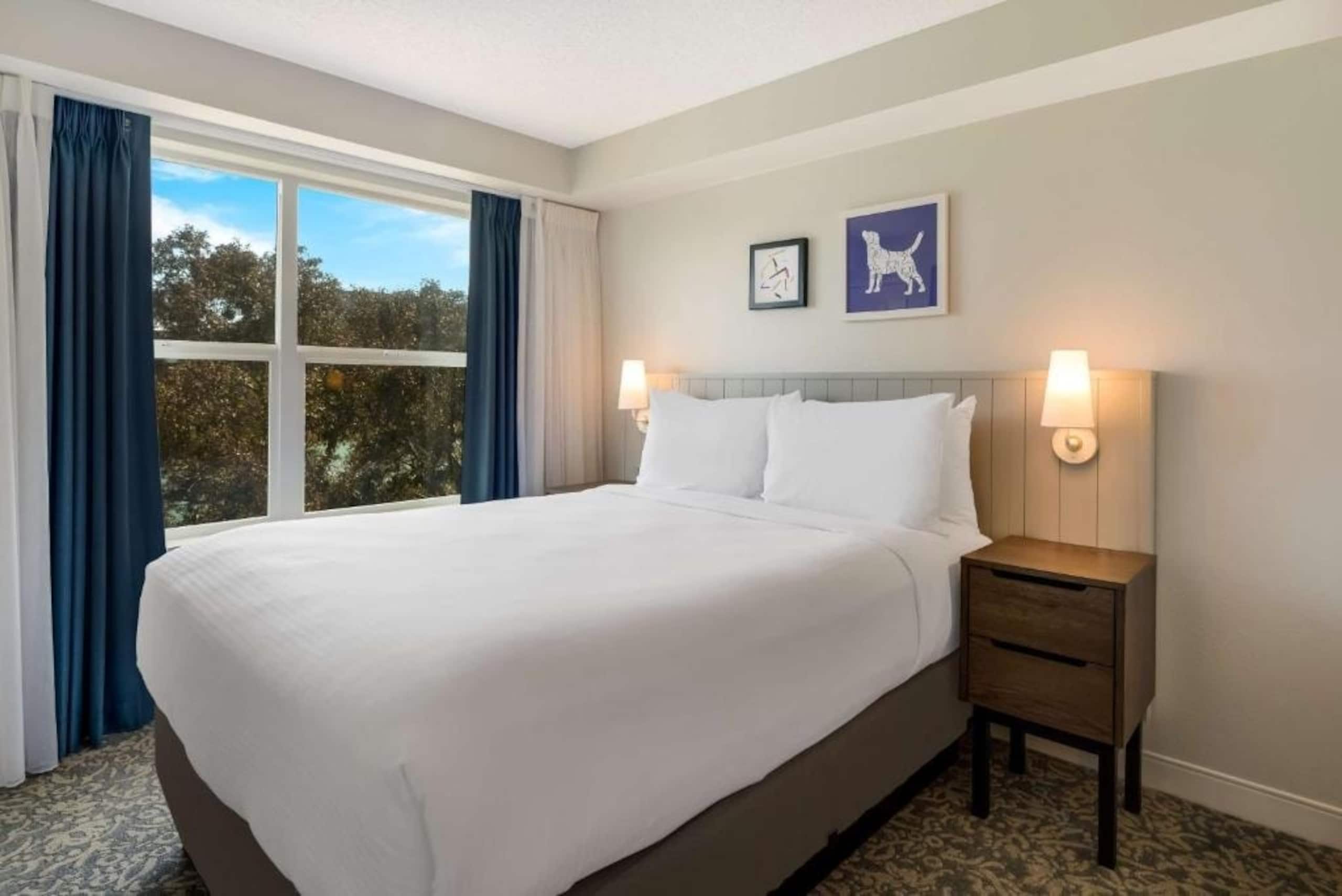 One Bedroom Suite Near Ideaya Biosciences SAN - Image 1