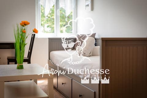 Rollin apartment 3 people with Netflix at