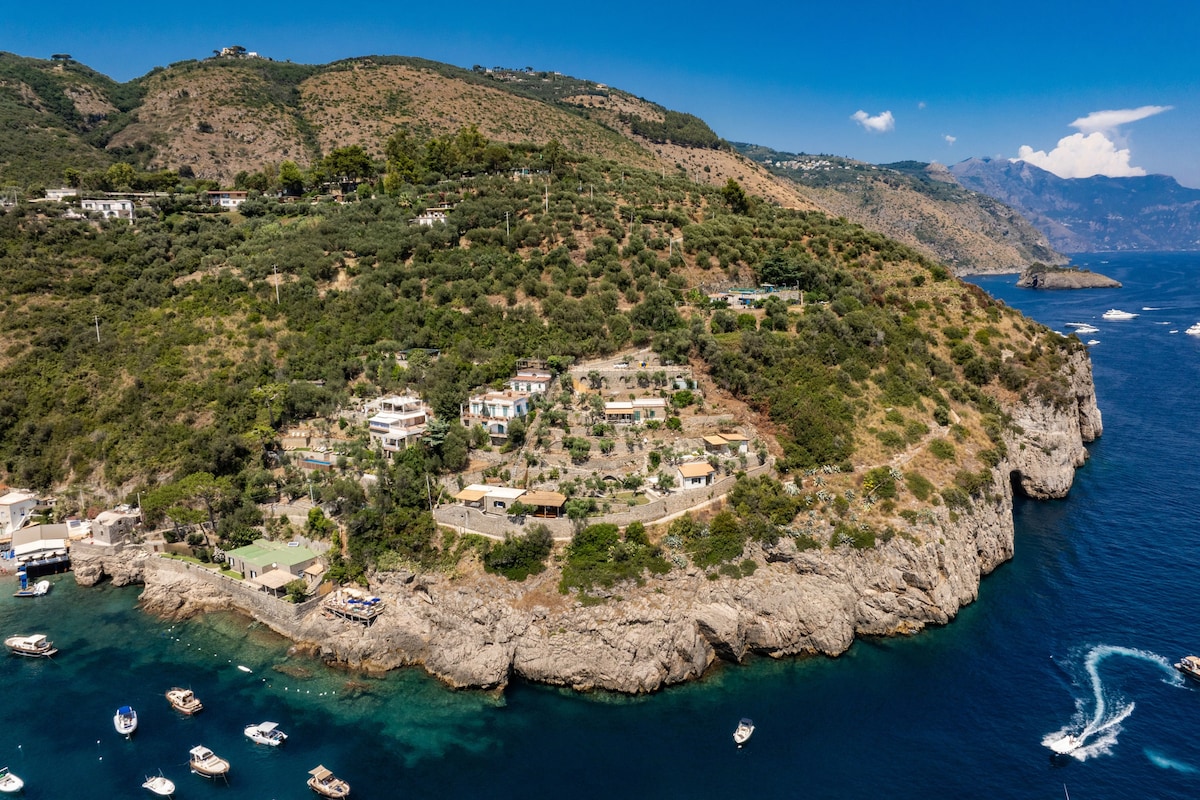 An aerial view captures Villa Neranite nestled along the coastline, surrounded by lush greenery and rocky cliffs. Clear turquoise waters gently lap against the shore, while boats are seen anchored nearby, creating a serene coastal ambiance amidst the natural beauty of the Amalfi Coast.