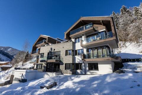 Luxury Penthouse in Viehhofen