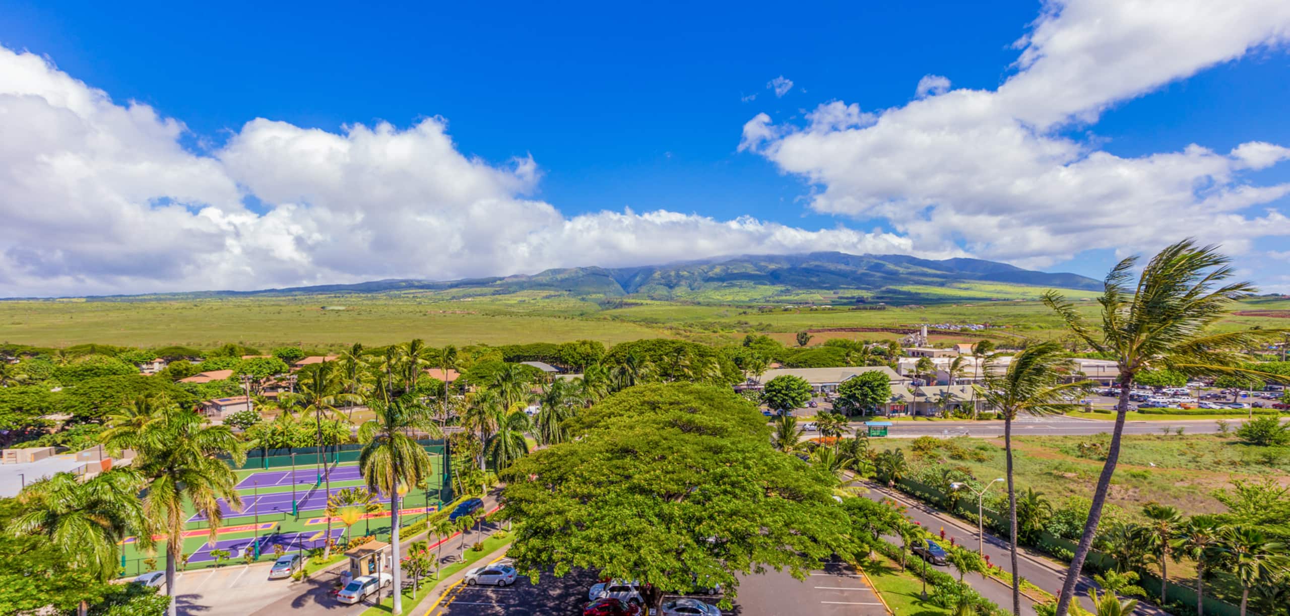 Home in Lahaina · ★4.76 · 1 bedroom · 2 beds · 1 bath - Image 44