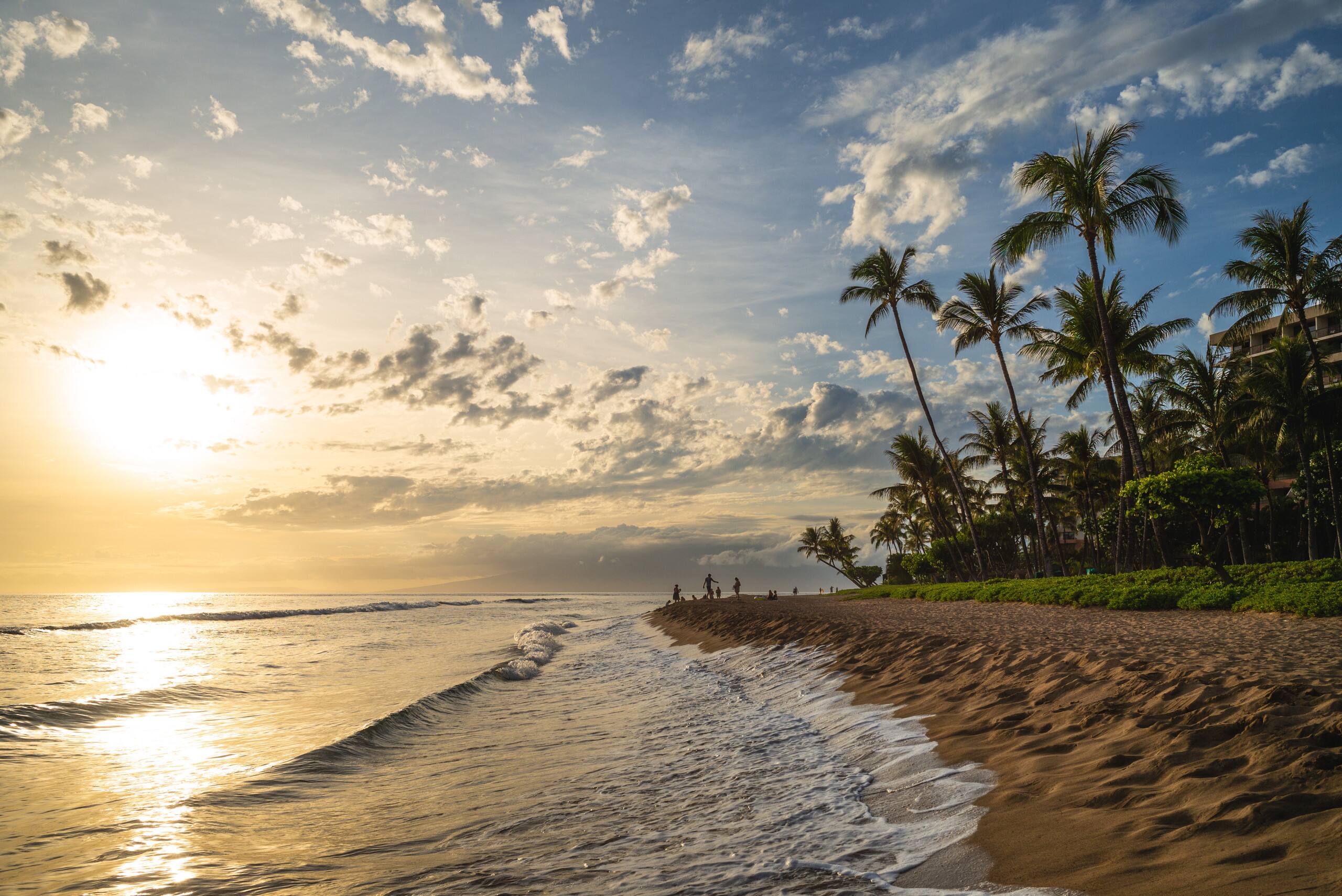 Home in Lahaina · ★4.76 · 1 bedroom · 2 beds · 1 bath - Image 66