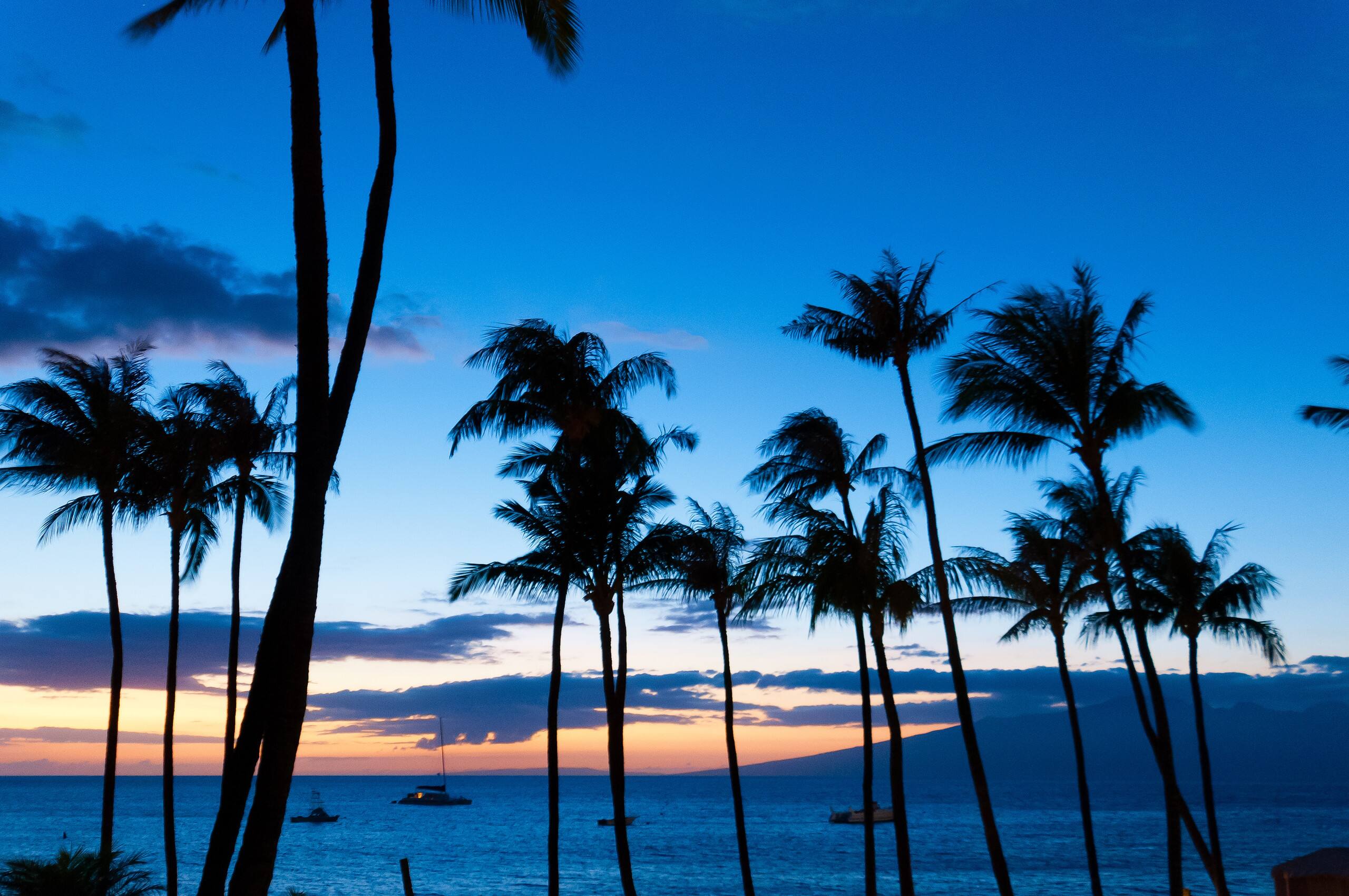 Home in Lahaina · ★4.76 · 1 bedroom · 2 beds · 1 bath - Image 70