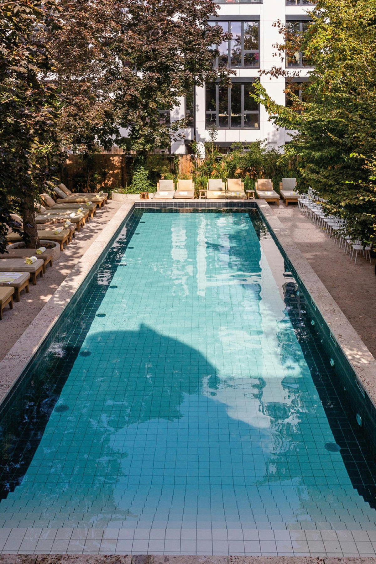 An outdoor pool stretches alongside a landscaped area, surrounded by greenery and lounge chairs placed neatly on either side. Natural light reflects off the water, creating a serene atmosphere enhanced by the trees that provide shade in the vicinity.
