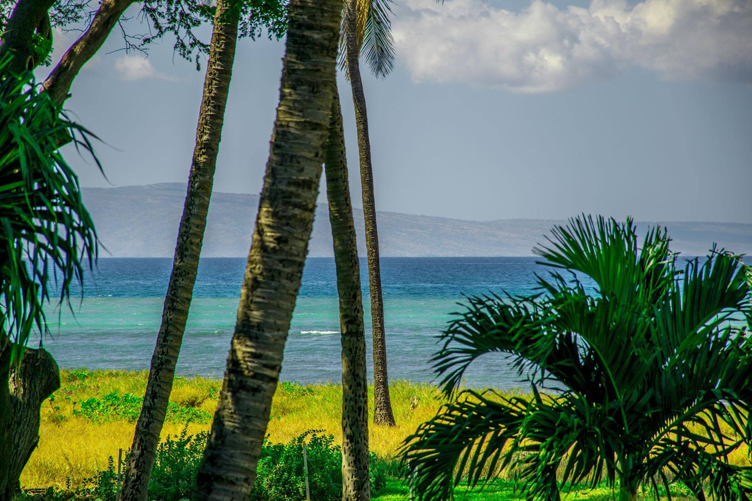 Villa in Kihei · ★4.95 · 8 bedrooms · 9 beds · 6.5 baths - Image 59
