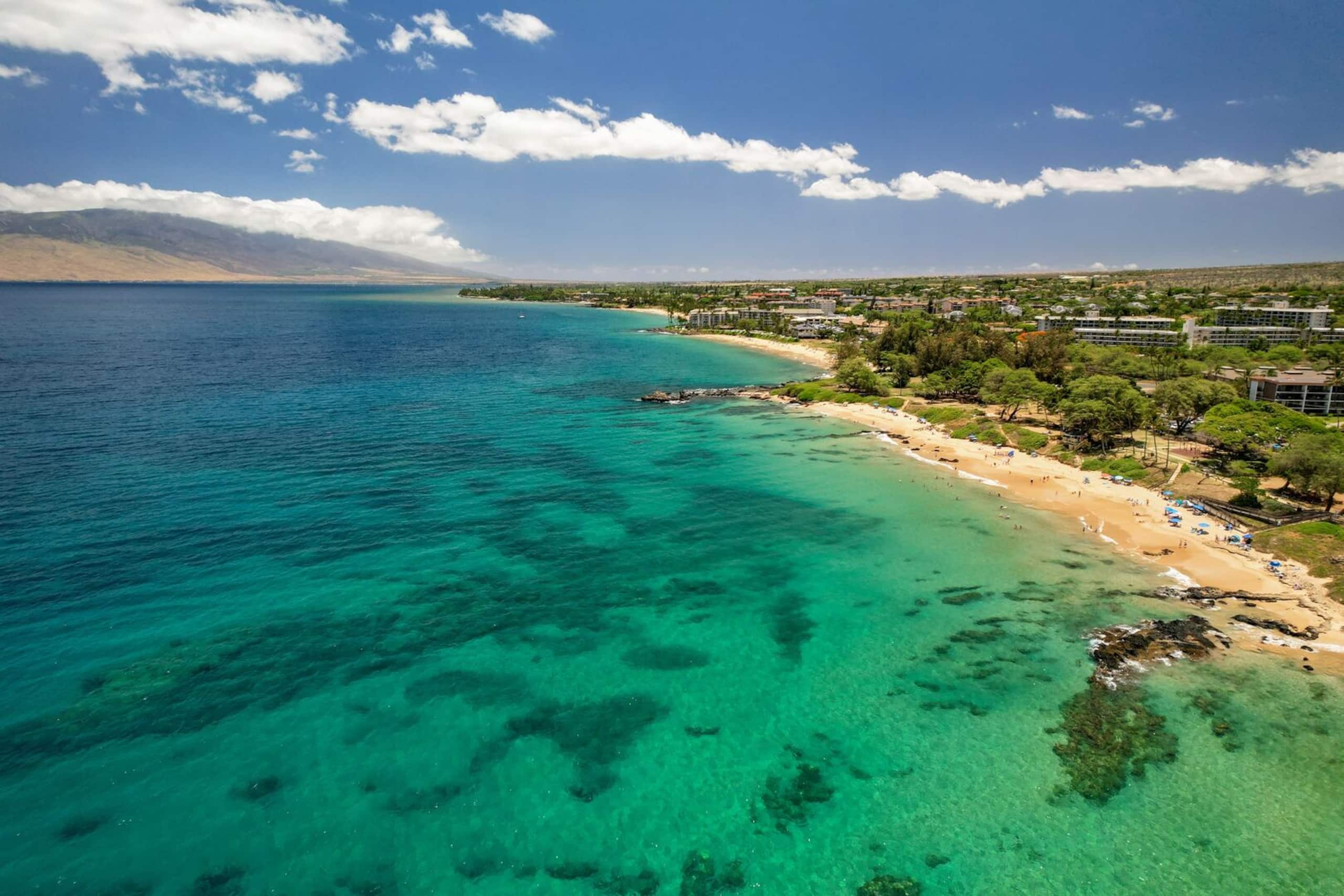 Condo in Kihei · ★4.84 · 3 bedrooms · 5 beds · 3 baths - Image 36