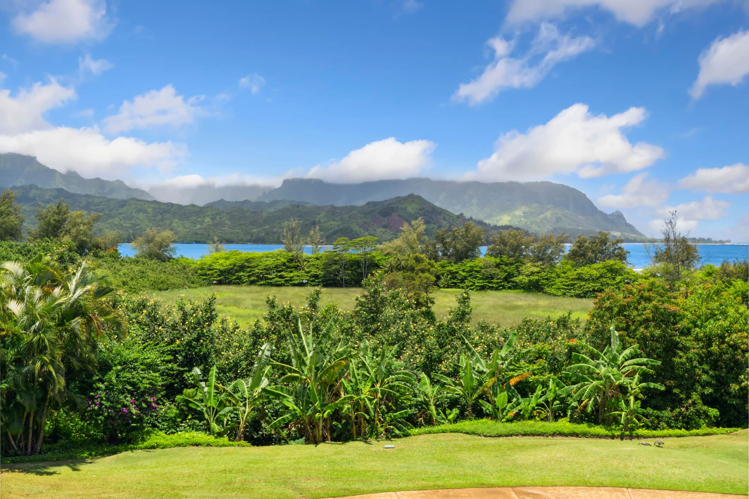 Condo in Princeville · ★4.95 · 2 bedrooms · 3 beds · 2 baths - Image 25