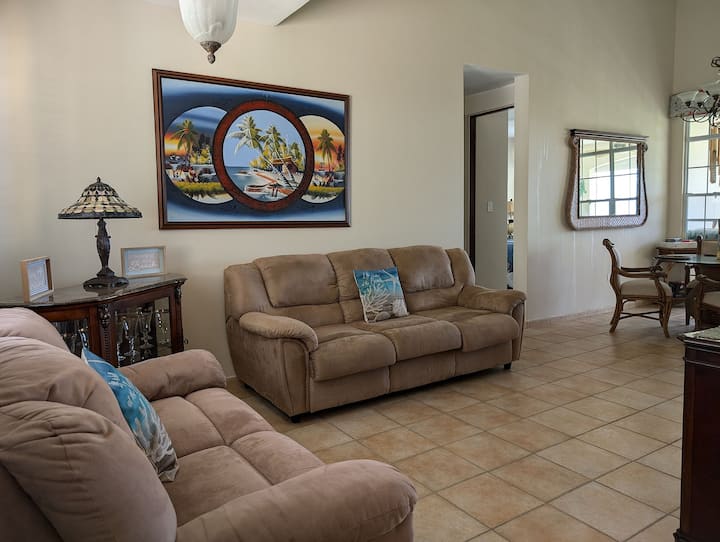 客厅、电视和多媒体