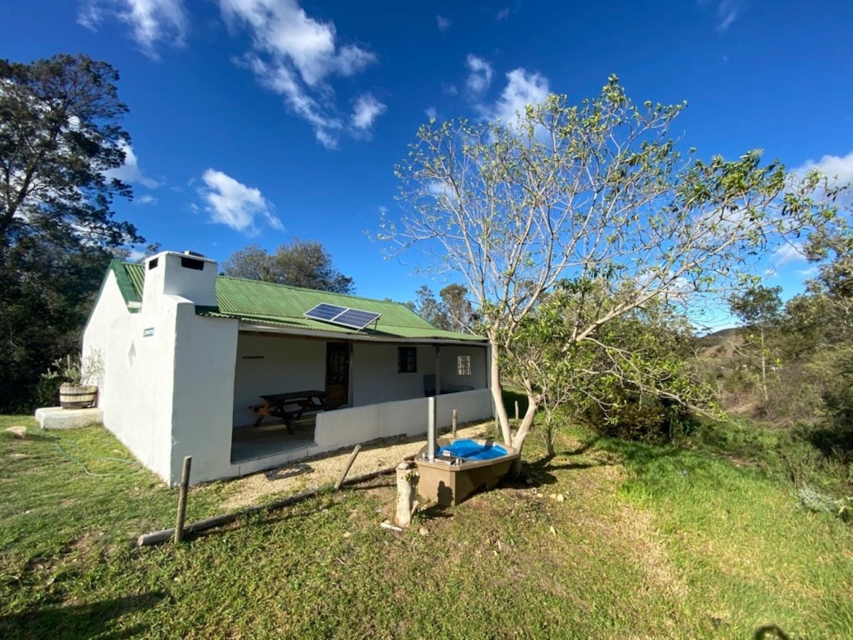 A charming exterior of a chalet is presented, featuring a white structure with a green roof. Solar panels are mounted on the roof. A picnic table with benches is set up outside under a large tree, surrounded by a grassy area and open sky.
