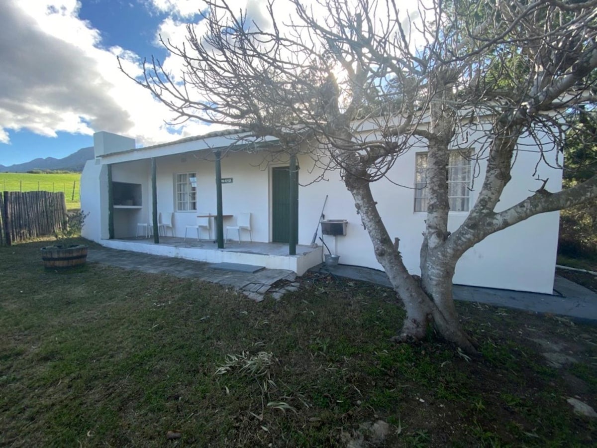 A single-story cottage is depicted, adorned with a white exterior and surrounded by open grass. A tree stands in the foreground, casting gentle shadows. A covered outdoor braai area is visible, along with seating arranged on a stone path leading to the entrance.