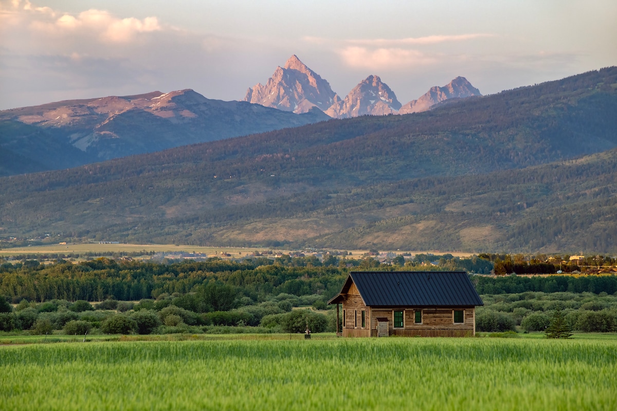 A newly built cabin is situated in a verdant field, surrounded by lush greenery and offering a clear view of the Teton Mountain Range in the background. The mountains rise majestically against a soft, cloudy sky, emphasizing the serene and private location.