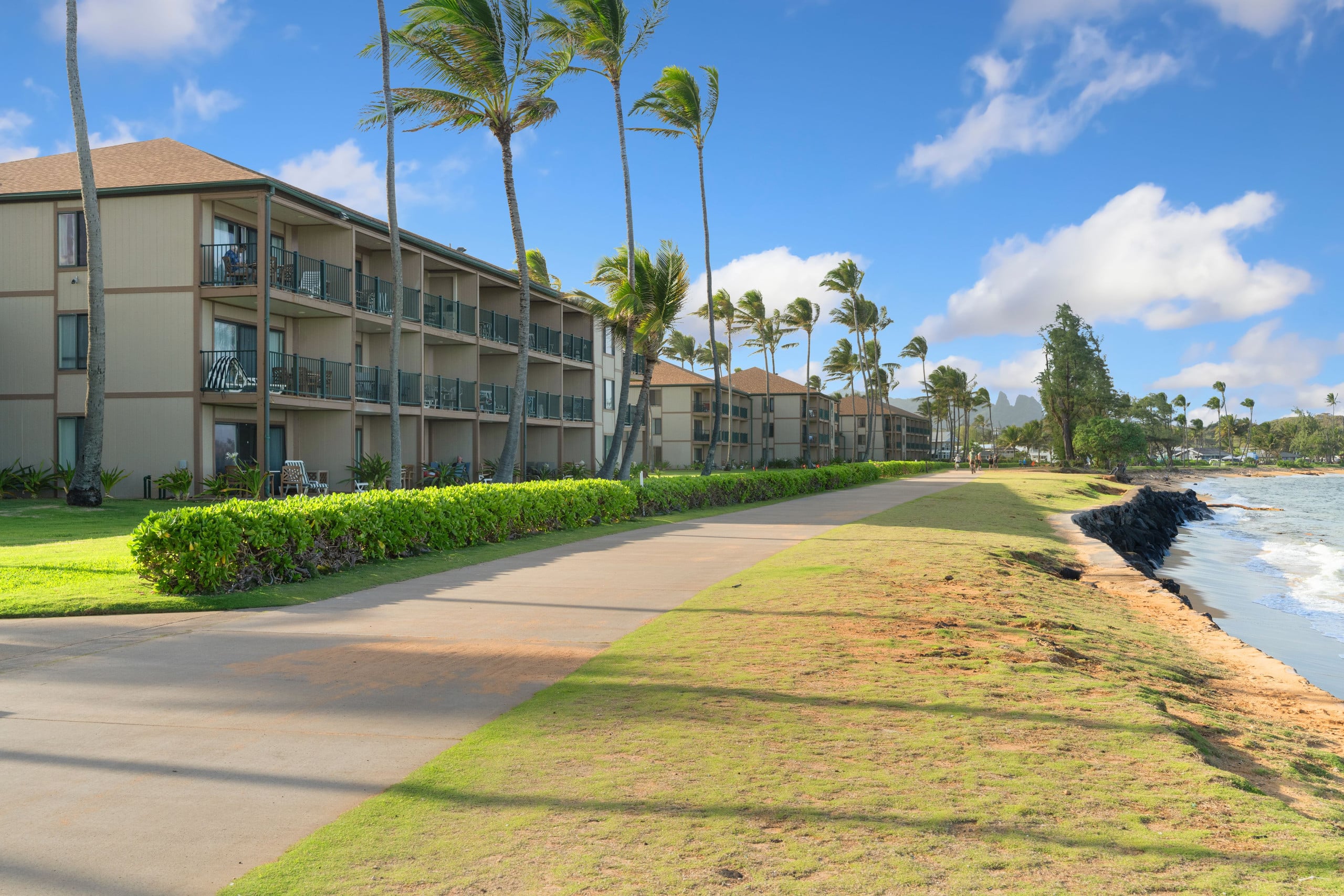 Condo in Kapaa · ★4.56 · 1 bedroom · 2 beds · 1 shared bath - Image 42