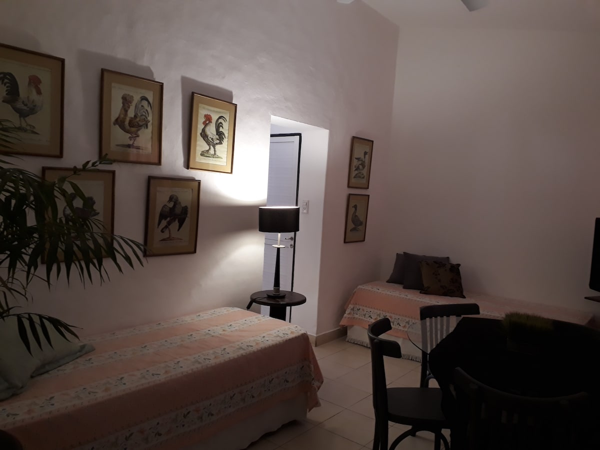 A cozy sleeping area features two neatly made beds with light-colored bedding. Framed artworks of birds adorn the walls, complementing the warm tones of the space. A small table with a lamp provides soft lighting, while a plant adds a touch of greenery to the room.