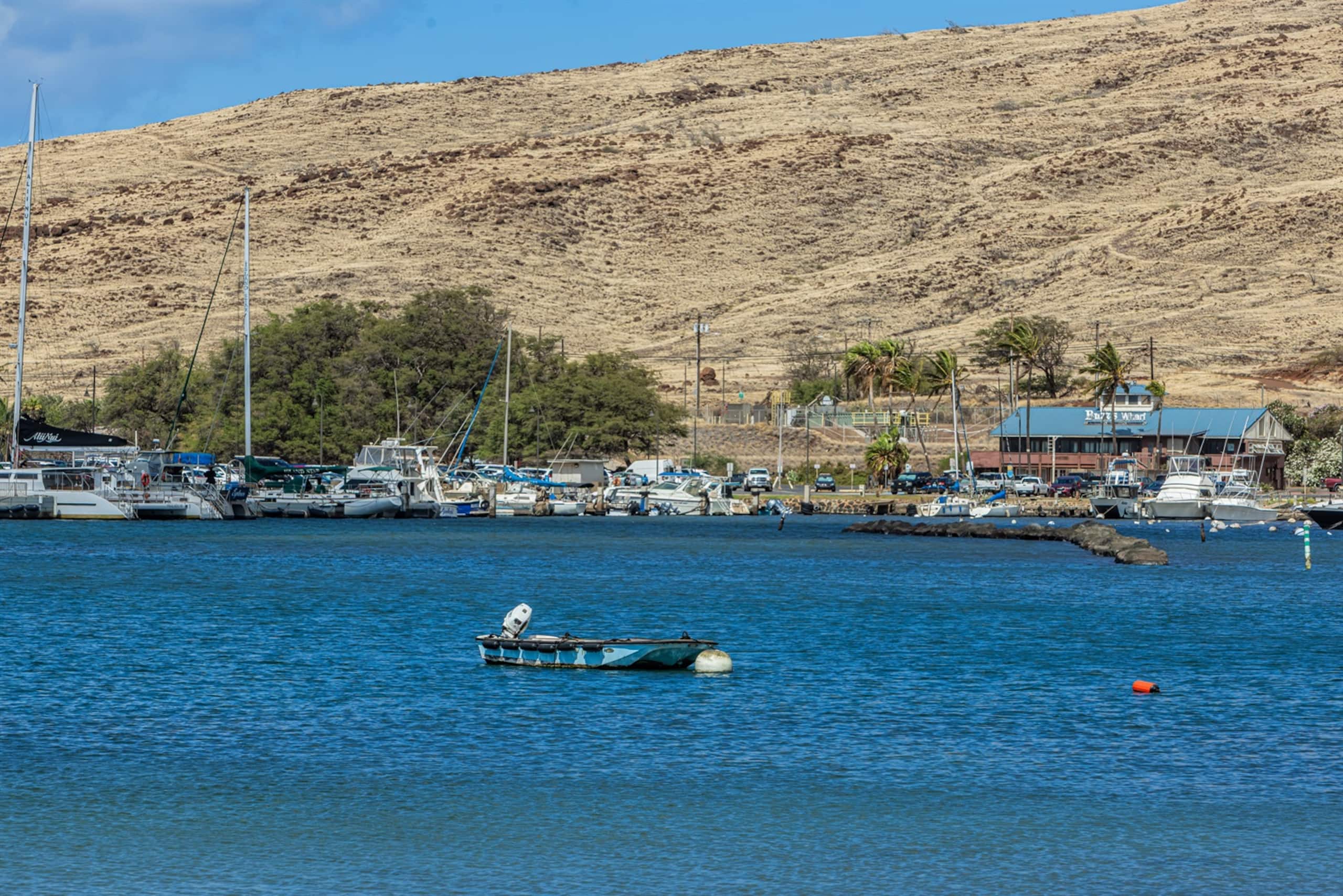 Condo in Wailuku · ★4.85 · 1 bedroom · 1 bed · 1 private bath - Image 38
