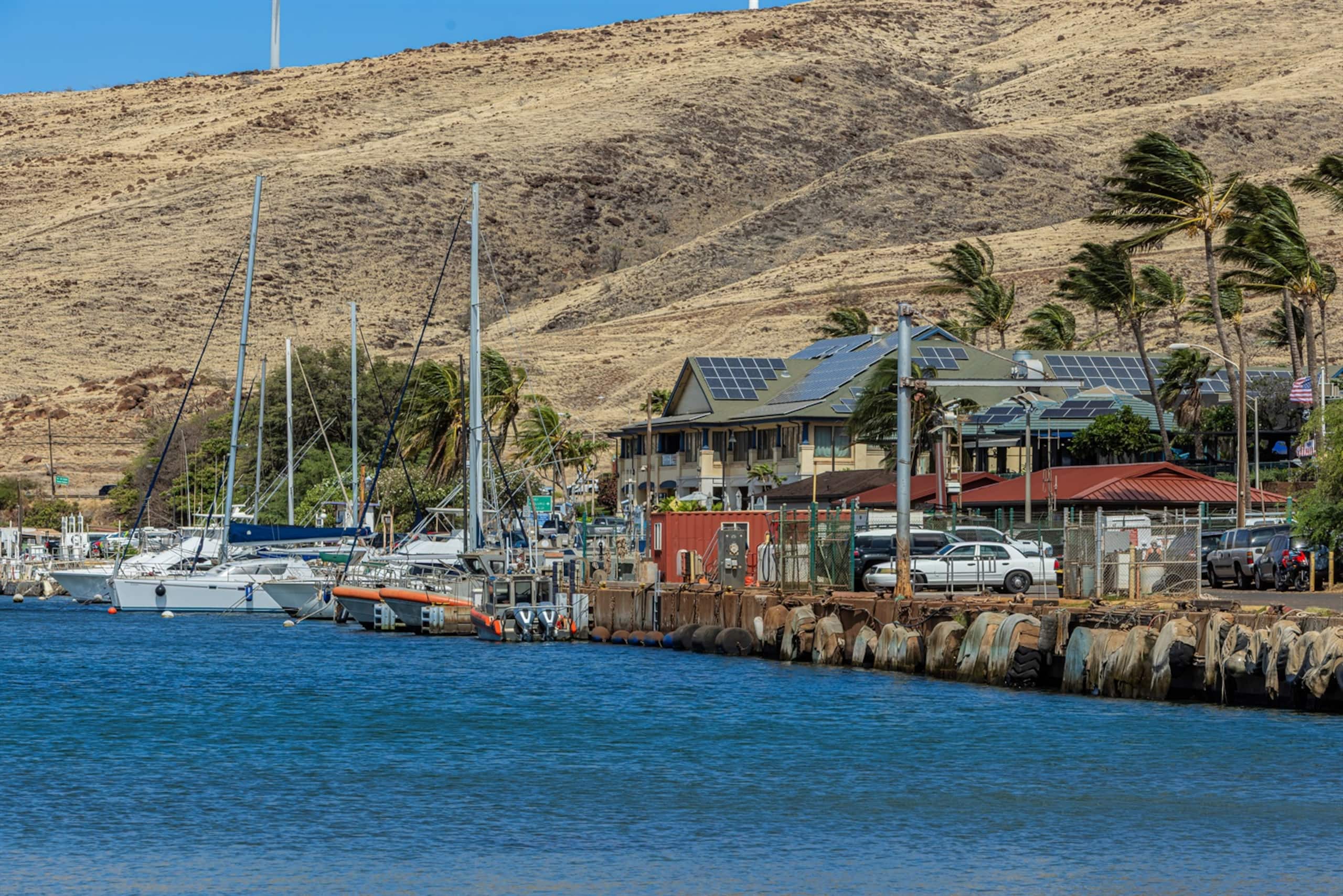 Condo in Wailuku · ★4.85 · 1 bedroom · 1 bed · 1 private bath - Image 37