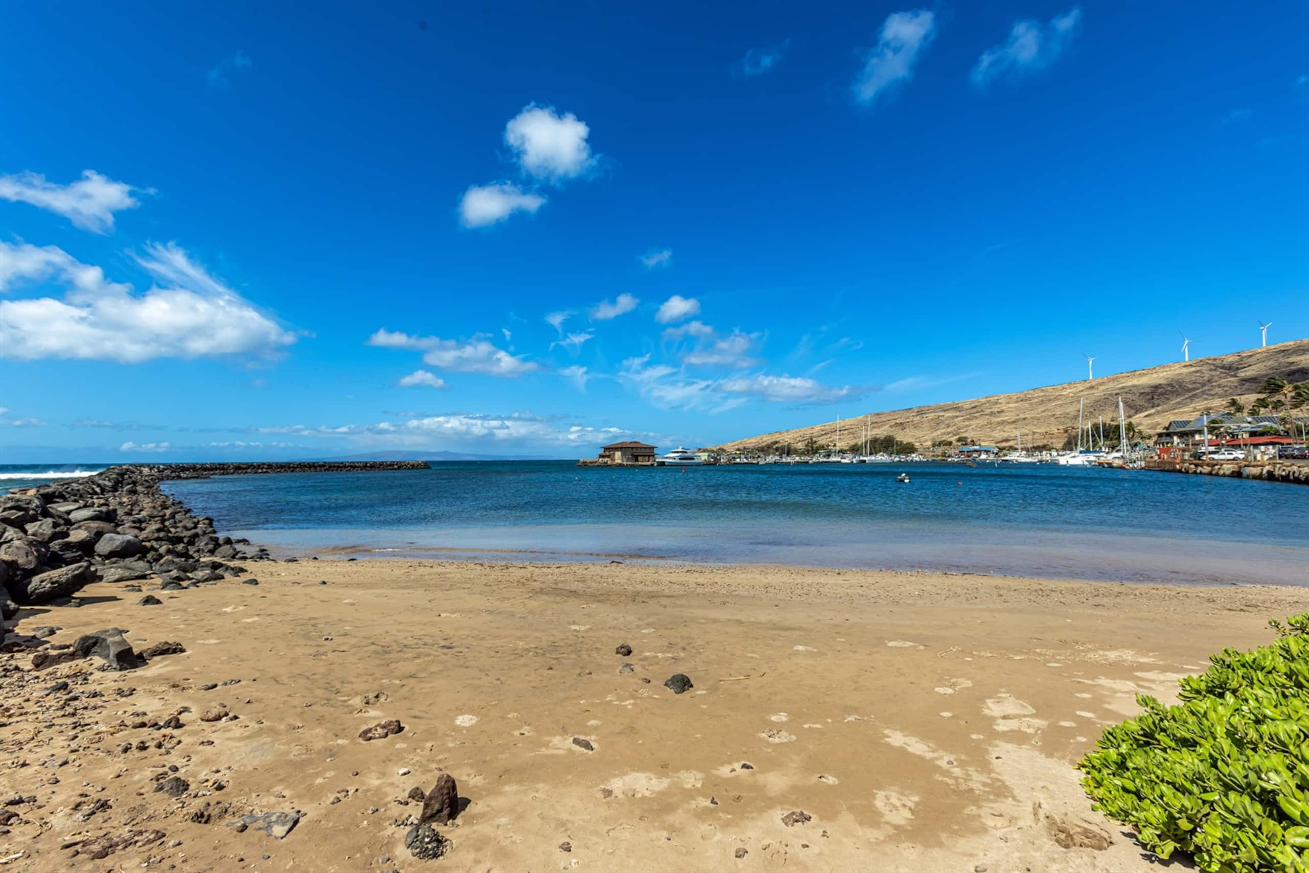 Condo in Wailuku · ★4.85 · 1 bedroom · 1 bed · 1 private bath - Image 31