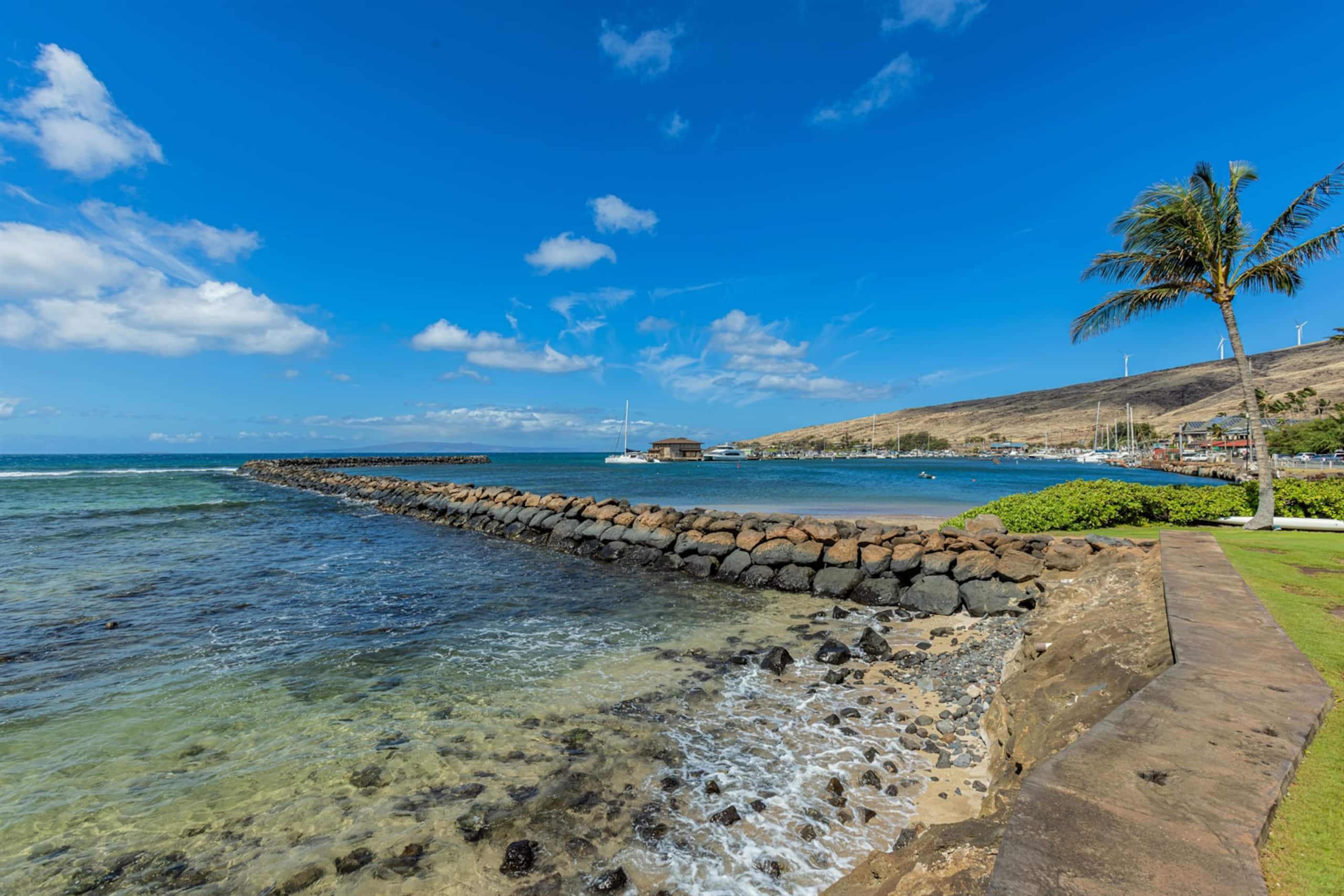 Condo in Wailuku · ★4.85 · 1 bedroom · 1 bed · 1 private bath - Image 29