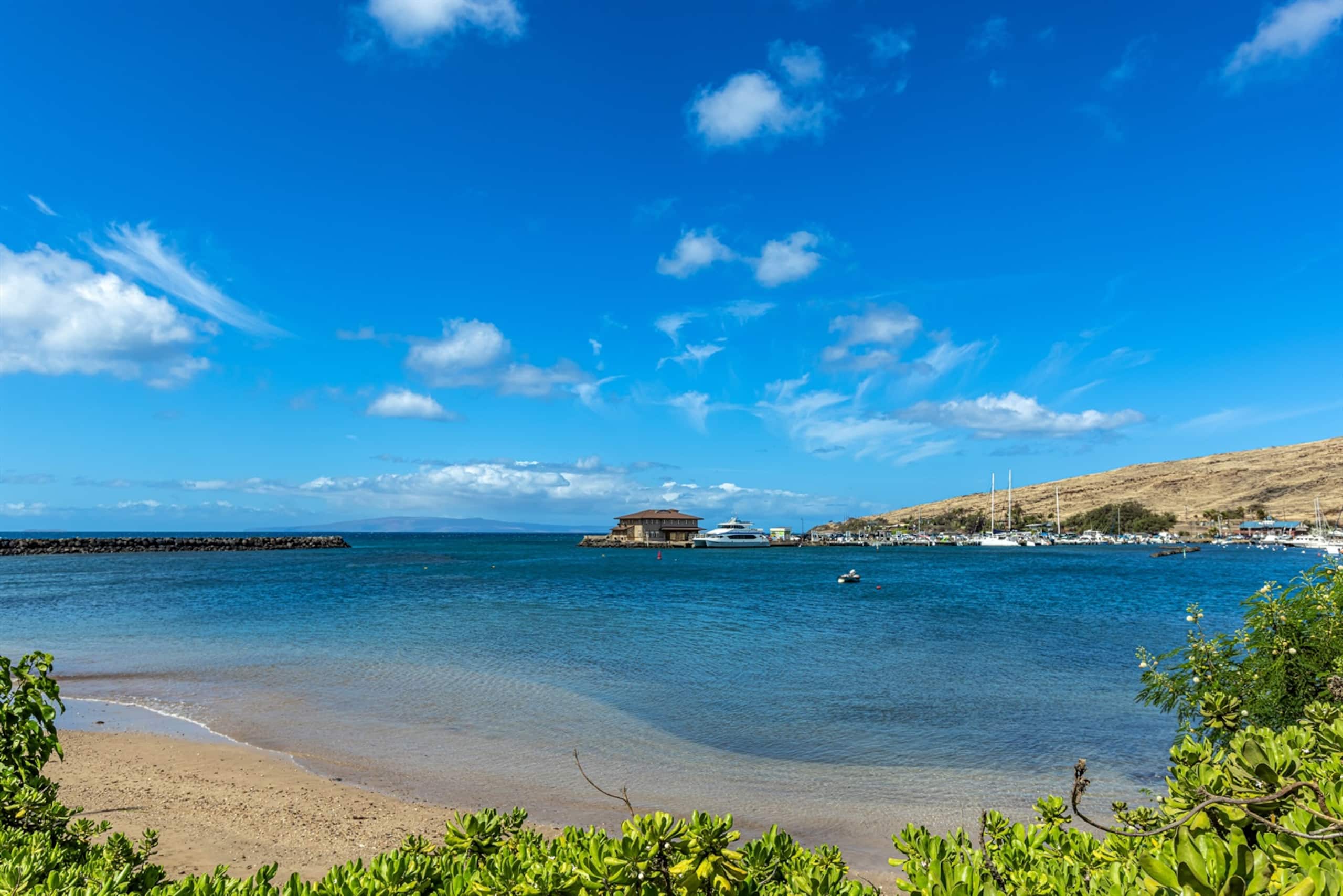 Condo in Wailuku · ★4.85 · 1 bedroom · 1 bed · 1 private bath - Image 30