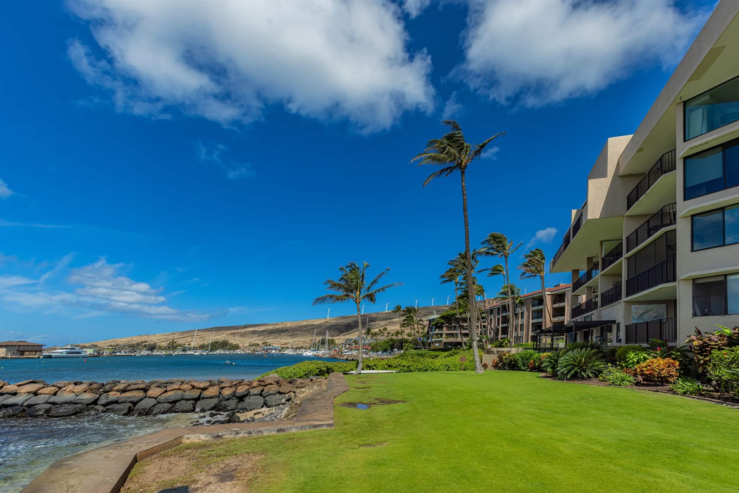 Condo in Wailuku · ★4.85 · 1 bedroom · 1 bed · 1 private bath - Image 26