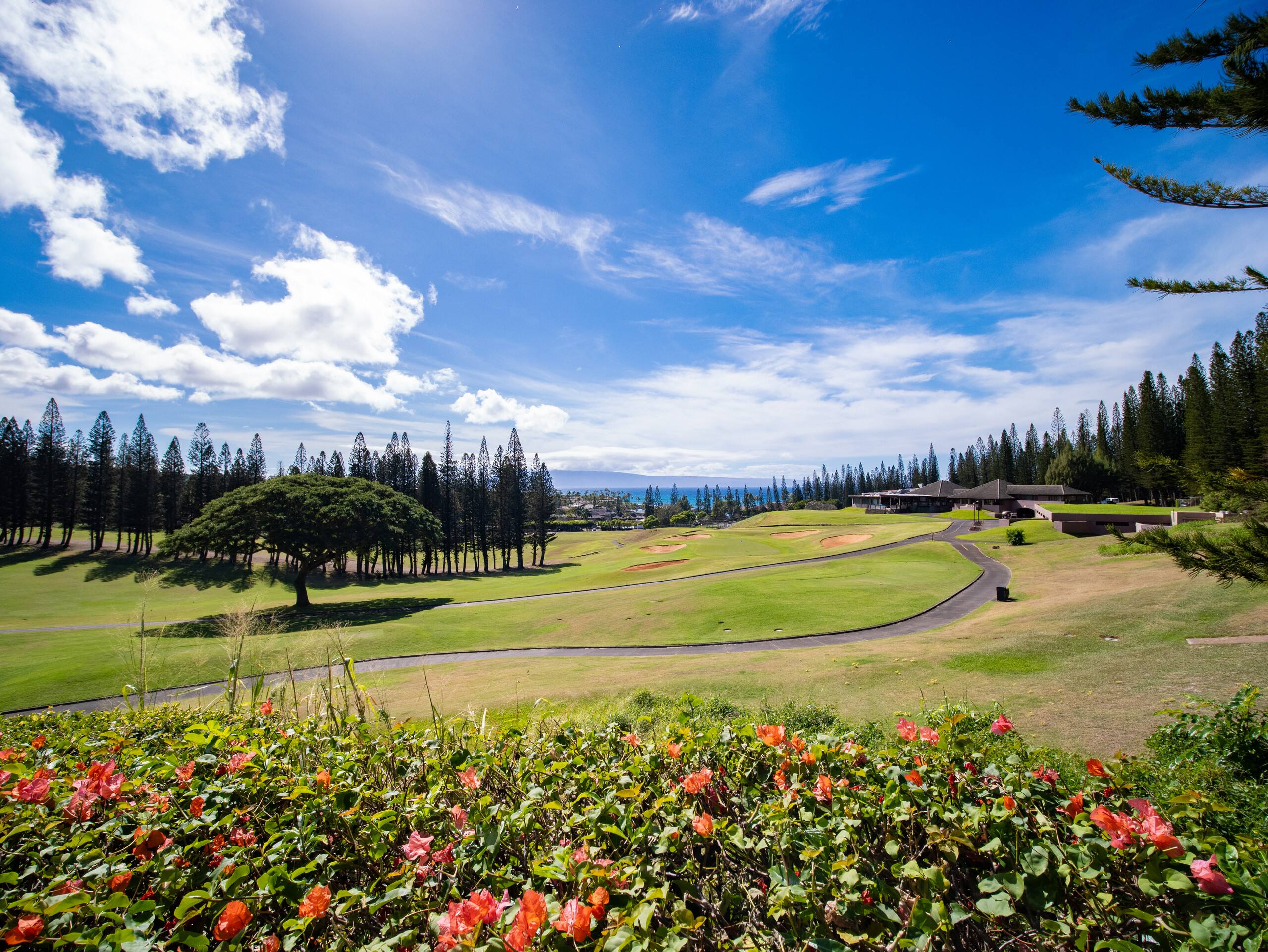 Home in Lahaina · ★4.67 · 2 bedrooms · 5 beds · 2 baths - Image 52