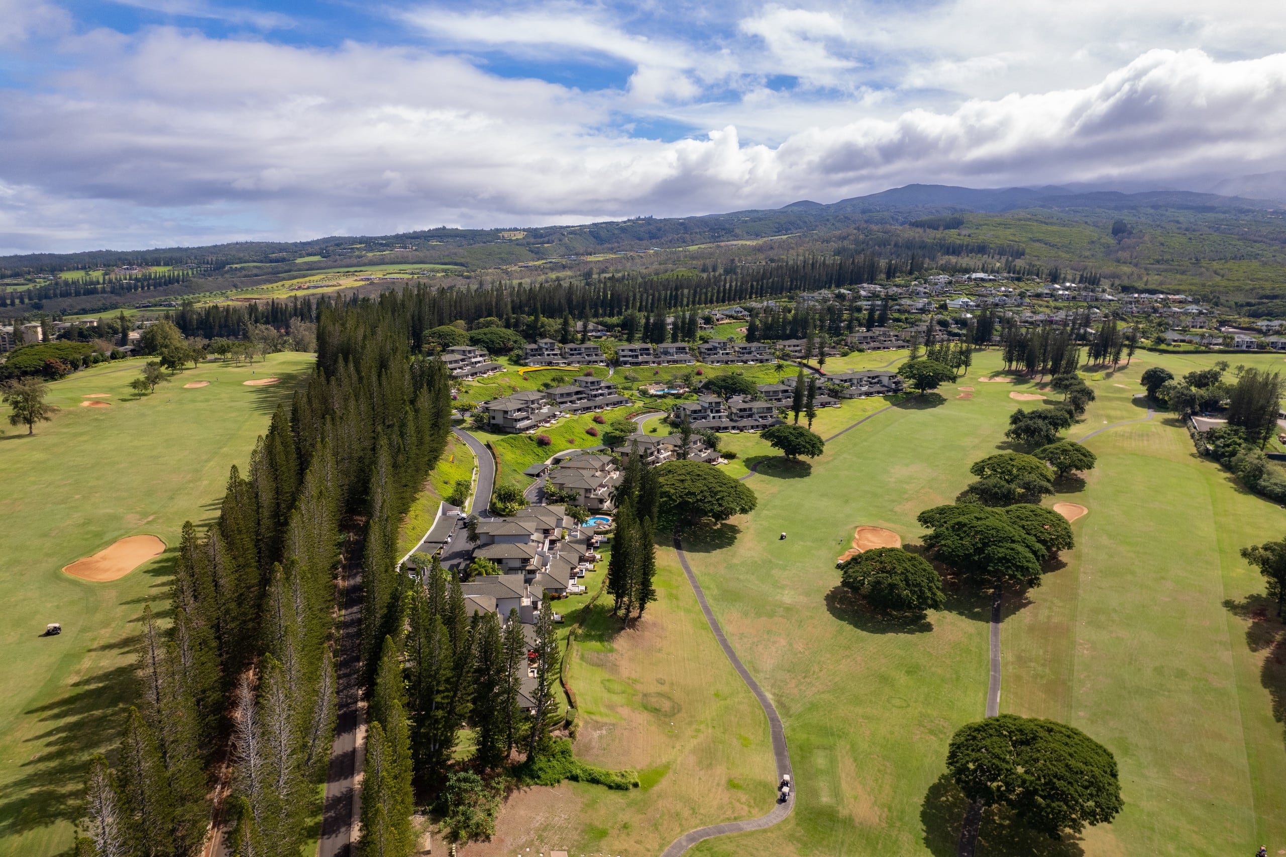 Home in Lahaina · ★4.22 · 4 bedrooms · 8 beds · 4 baths - Image 114