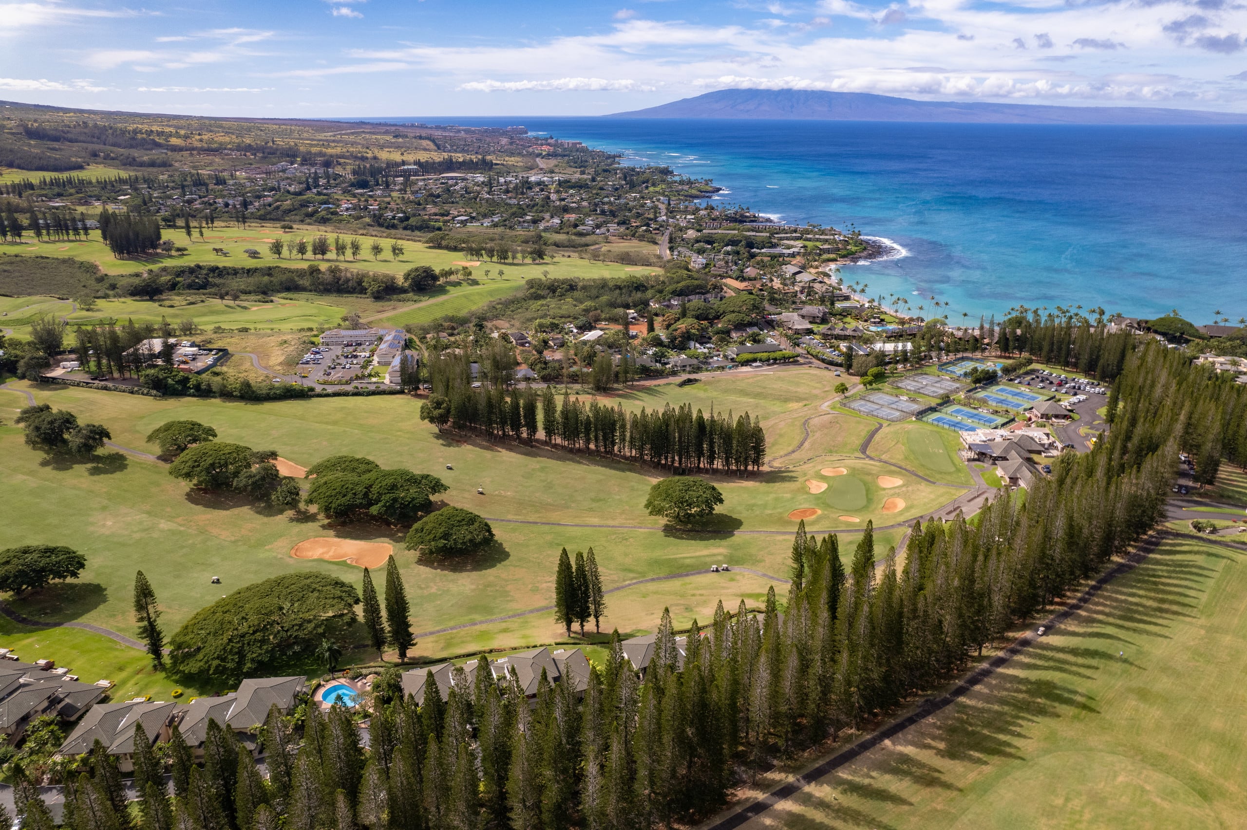 Home in Lahaina · ★4.22 · 4 bedrooms · 8 beds · 4 baths - Image 112