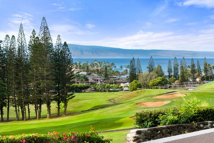 Spacious 4BR Kapalua Villa Best Views gallery image 2