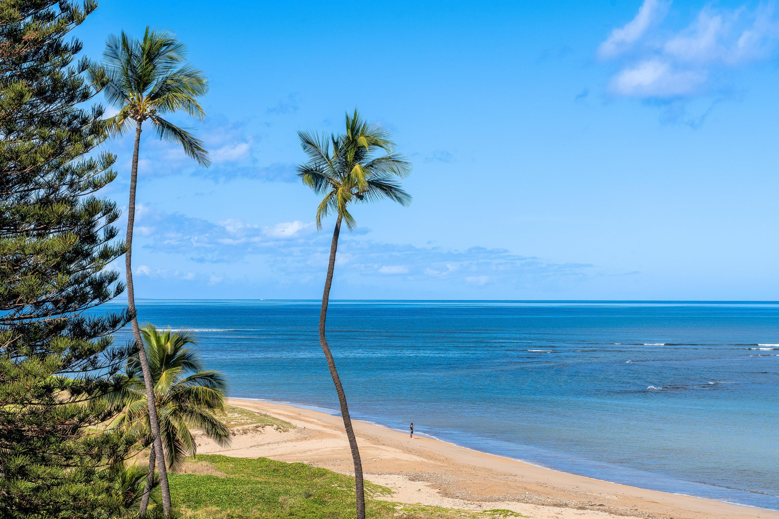 Condo in Kihei · ★4.9 · 2 bedrooms · 3 beds · 2 private baths - Image 28