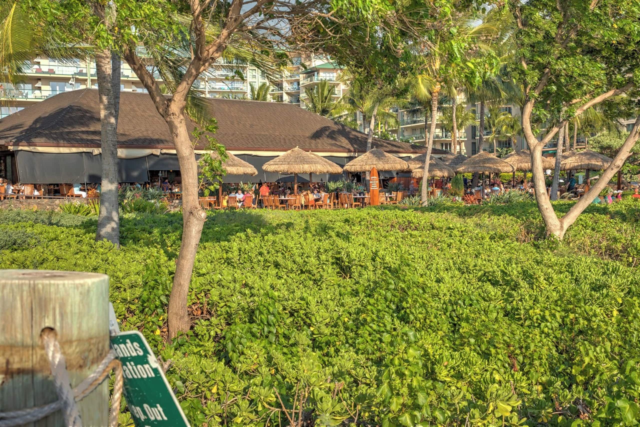 Condo in Lahaina · ★4.96 · 2 bedrooms · 3 beds · 1 bath - Image 36